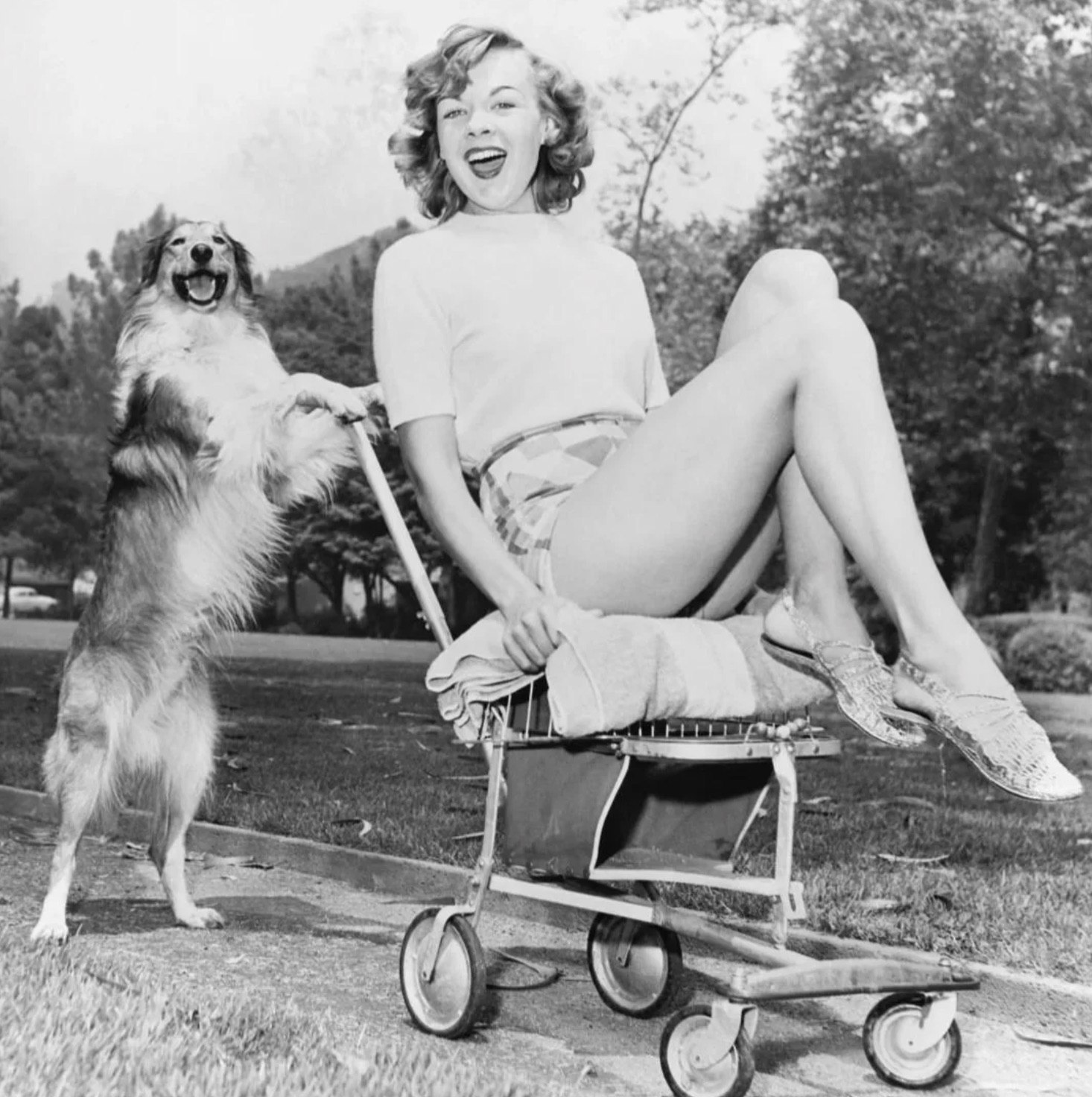 A young woman and her dog at a park, 1950s. 